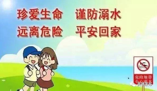 征文比賽方案，初學者與進階用戶的全方位指南