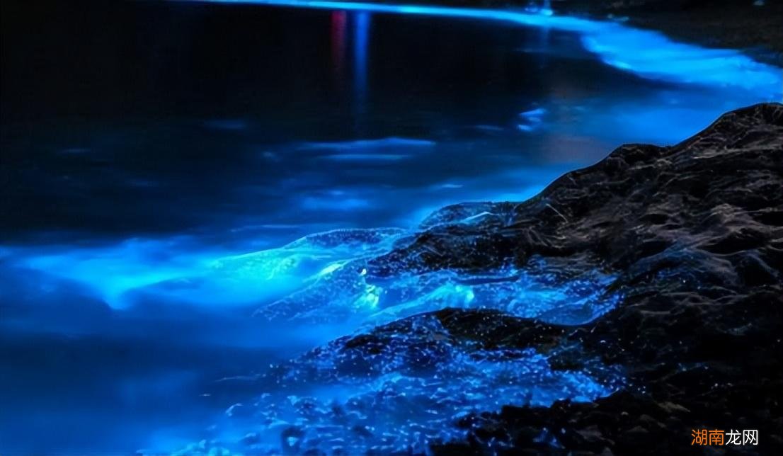 最新藍(lán)眼淚現(xiàn)象，尋找內(nèi)心平靜的奇妙旅程