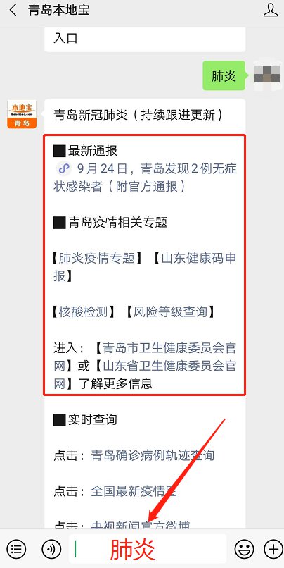 青島最新動態(tài)，多維度視角下的城市發(fā)展探析