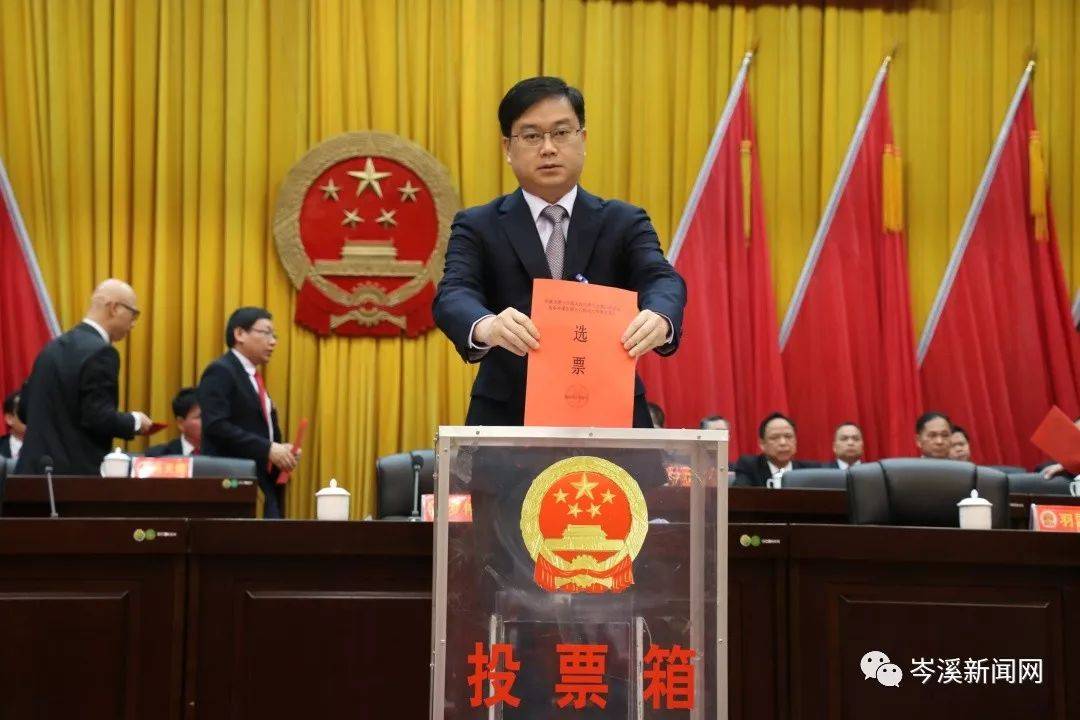 岑溪人事任免信息詳解，獲取指南及初學者進階指南