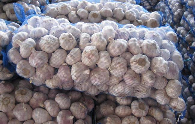 開封大蒜最新市場價格，時代味道與市場動態(tài)同步更新