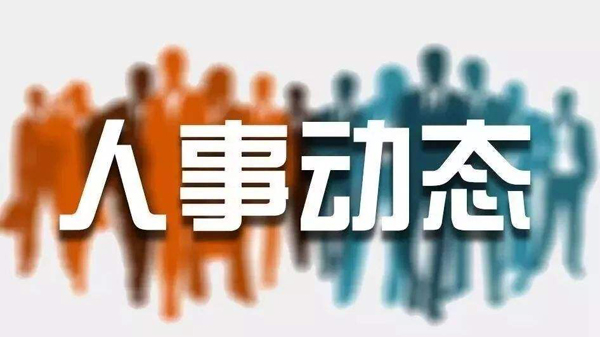 長(zhǎng)治市人事任免信息解析，日常故事與任免動(dòng)態(tài)