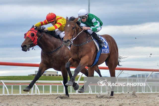 斗馬比賽殘忍視頻直播,斗馬比賽殘忍視頻直播，現(xiàn)象、爭議與反思