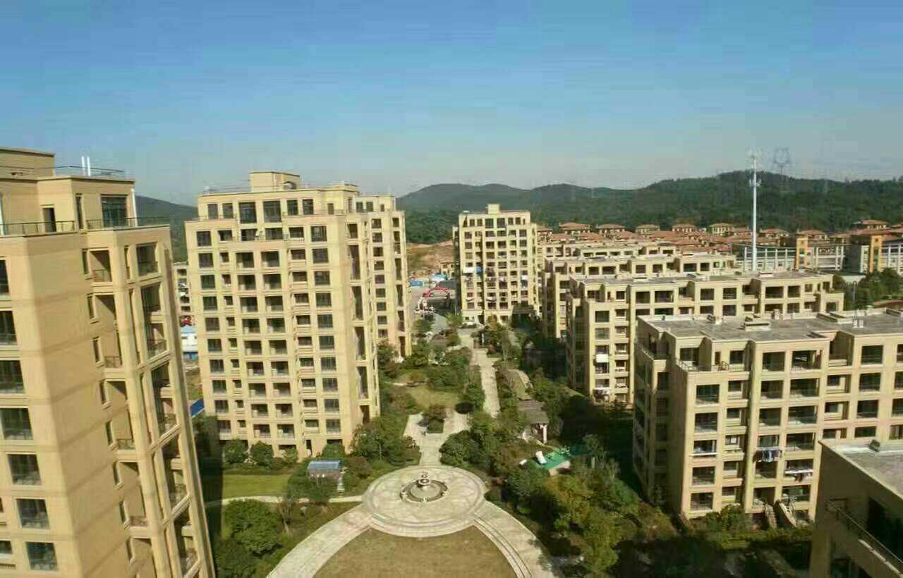 長興二手房資訊，科技引領(lǐng)房產(chǎn)新紀元，智能體驗重塑生活空間