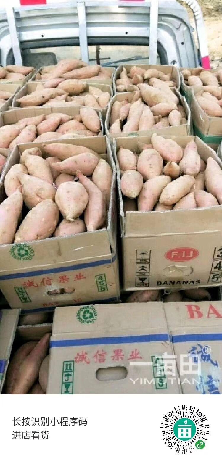 地瓜價(jià)格動(dòng)態(tài)走勢(shì),地瓜價(jià)格動(dòng)態(tài)走勢(shì)，變化中的機(jī)遇與自我超越的旅程