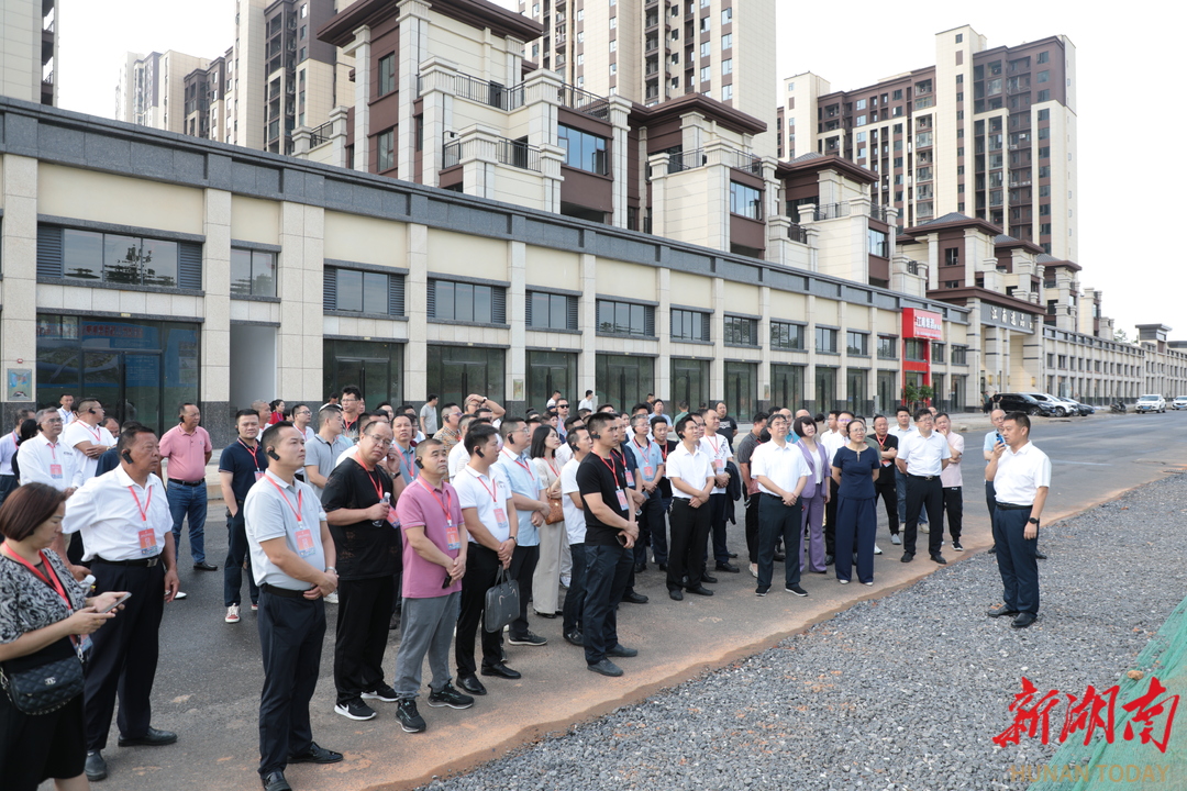 道州紅網(wǎng)最新動態(tài)揭秘，數(shù)字時代文化繁榮的影響力