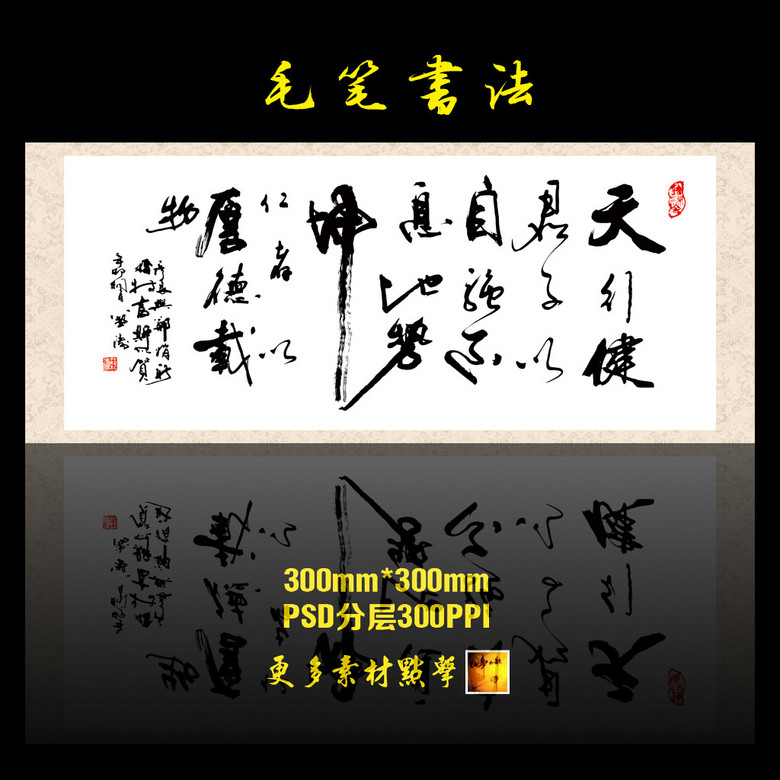 天行健上市,天行健上市，邁向資本市場(chǎng)的堅(jiān)實(shí)步伐