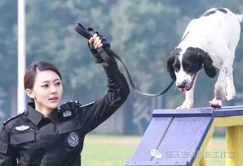 警花與警犬，鐵血柔情演繹真實(shí)警魂的演員們