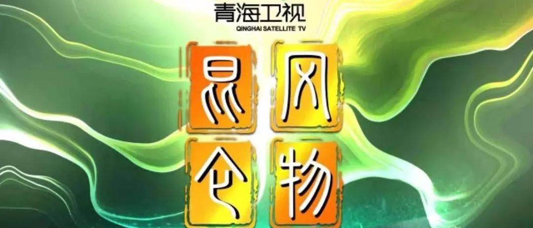 青海人事任免最新動態(tài)，溫情故事揭秘人事變遷