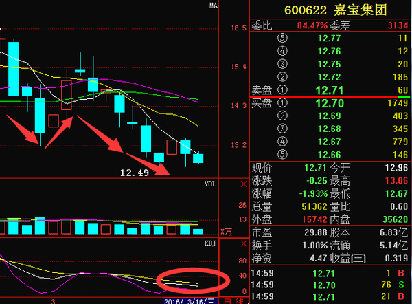 嘉寶集團(tuán)股票行情,嘉寶集團(tuán)股票行情，追溯背景，見(jiàn)證發(fā)展