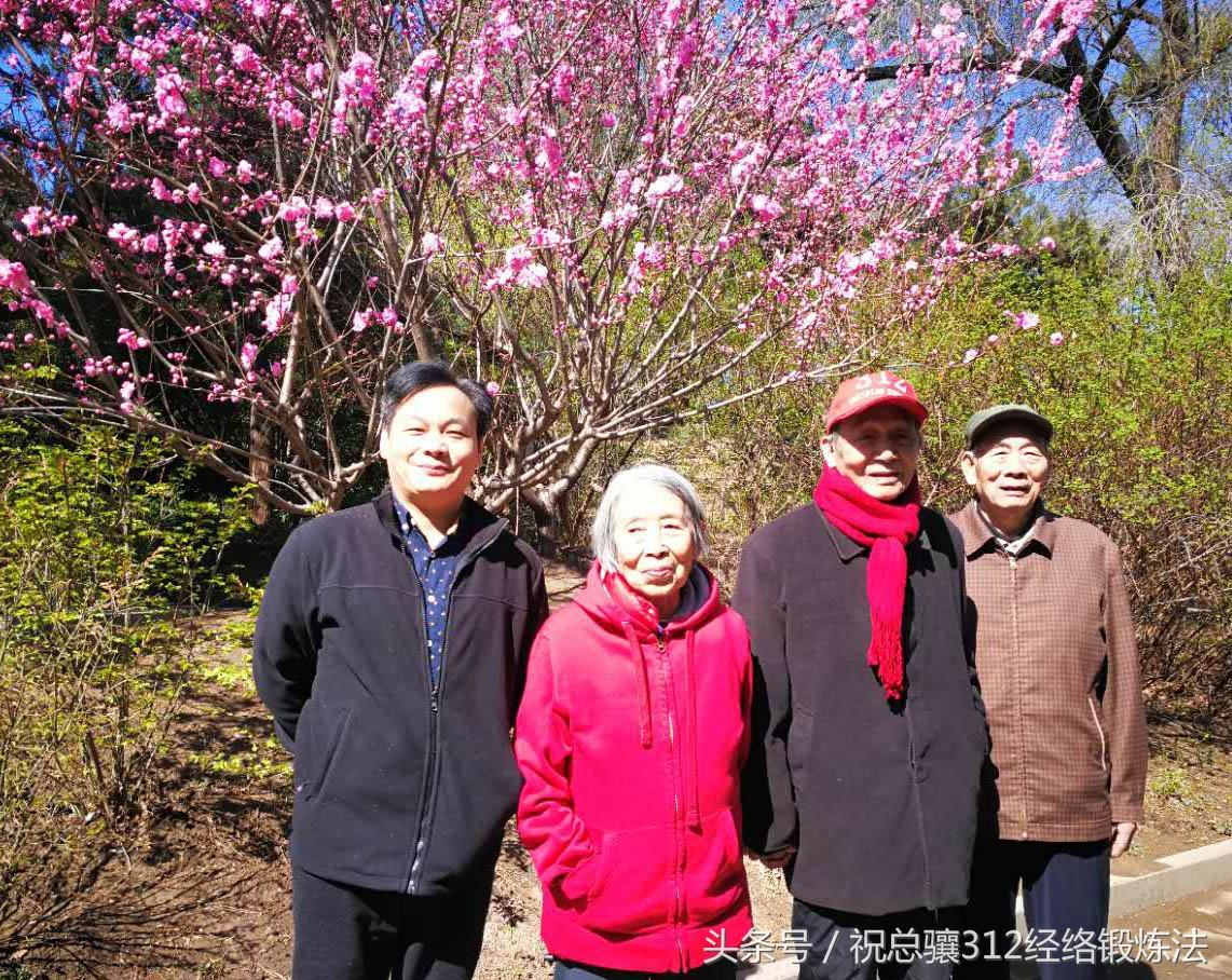 祝總驤最新資訊揭秘，城市中的溫情日常