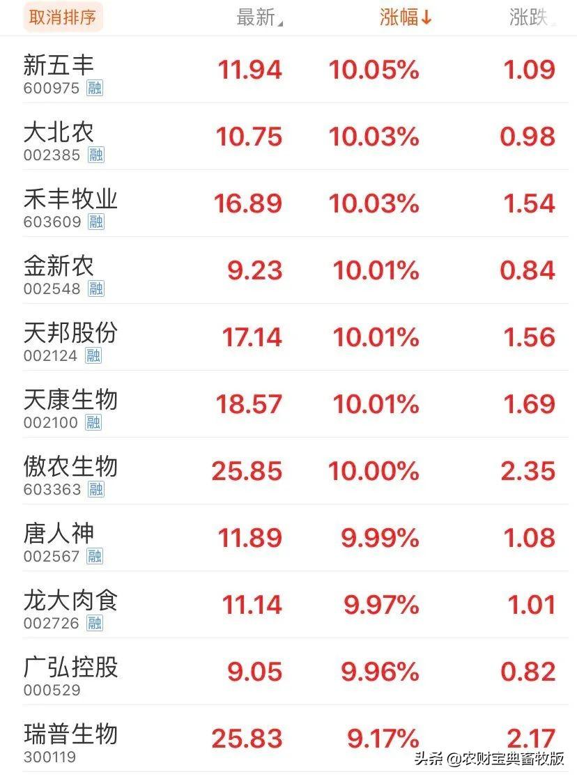 股票新五豐，深度解析投資價值與策略選擇