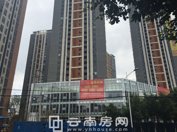 昆明名旺角最新資訊全攻略，資訊獲取指南與動(dòng)態(tài)速遞