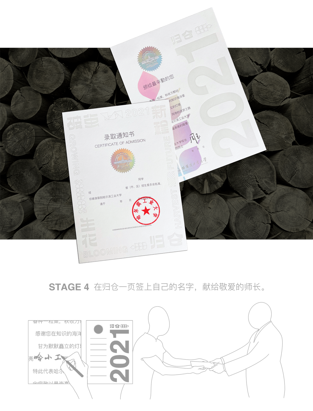 小巷印章探秘，最新章節(jié)揭秘官方印章的魅力