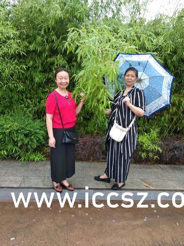 最新美女圖片，時(shí)代印記與文化的鏡像展現(xiàn)