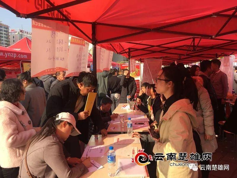 東鄉(xiāng)縣最新招聘資訊，職業(yè)發(fā)展的理想選擇地，尋找人才與機(jī)遇的交匯點(diǎn)