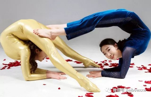 柔術(shù)資訊深度解析，探索世界聚焦要點(diǎn)