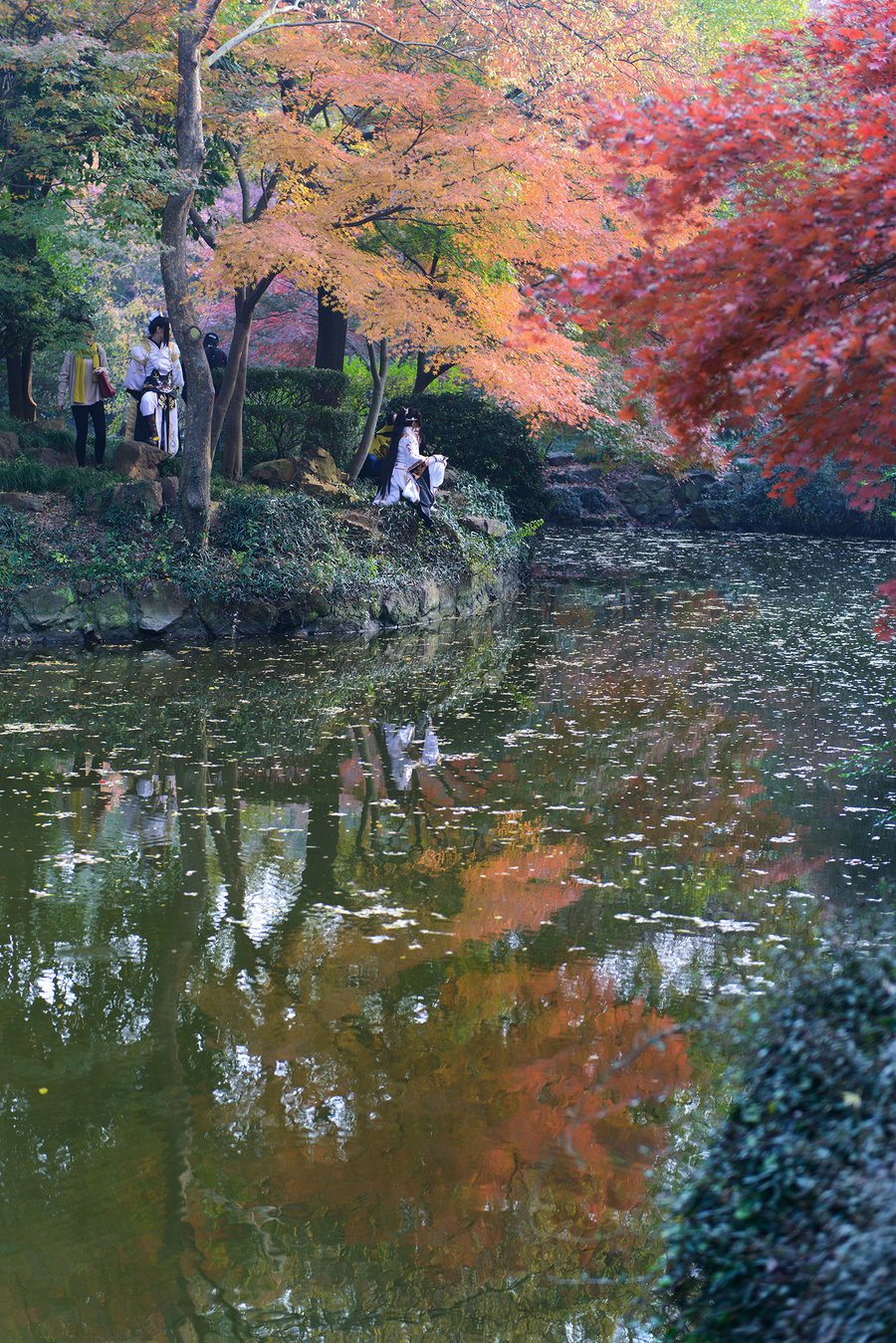 秋霞影院最新，電影藝術的現(xiàn)代盛宴