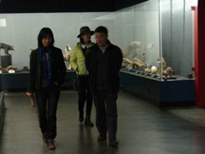 李元潮最新動態(tài)揭秘，小巷深處的獨特風(fēng)味探秘之旅