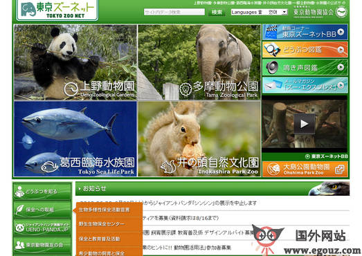 最新動物園網(wǎng)站，自然美景的探索之旅