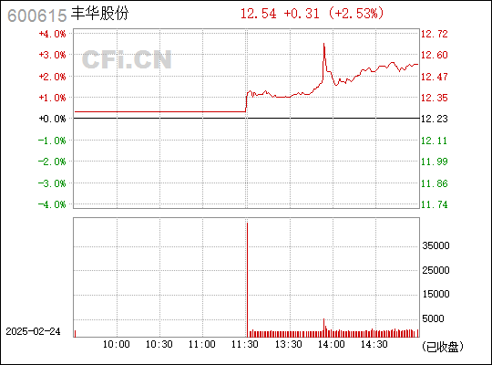 豐華股份股票投資價值深度解析