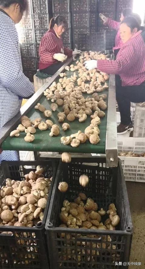 中脈上市指南，詳細(xì)步驟帶你了解中脈上市之路