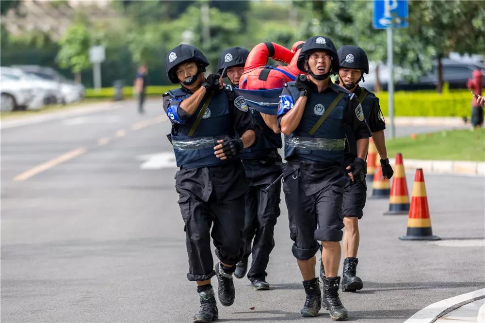 電視劇武裝特警演員表，自信、變化與成就感的勵志之旅探索