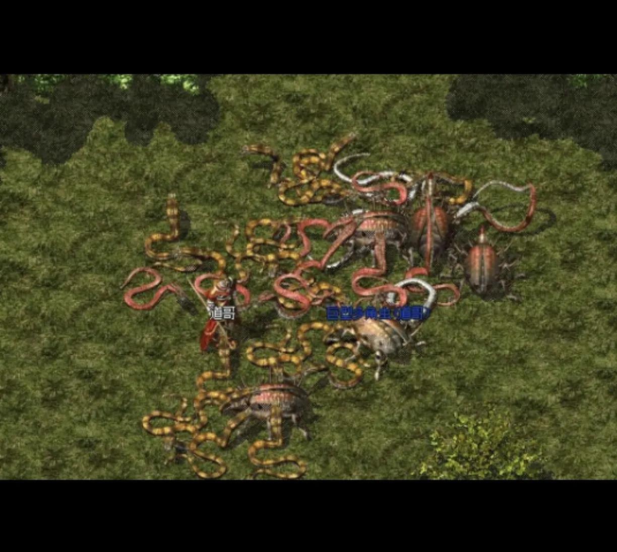 裁決之地演員，小巷中的隱秘寶藏揭秘