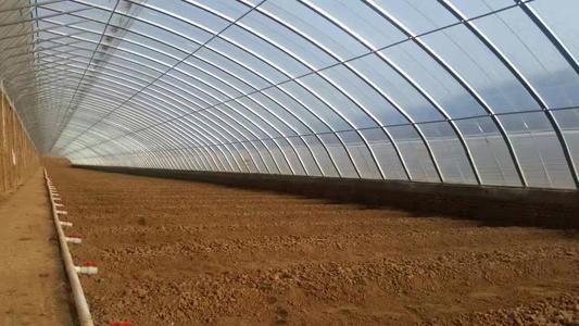 現(xiàn)代溫室種植技術深度解析