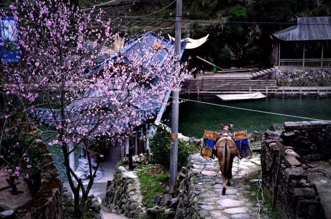 瑞安地圖更新，城市變遷與我們的成長(zhǎng)之路