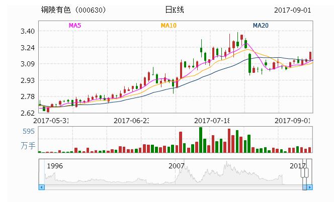 揭秘000630股票，投資潛力與策略深度解析