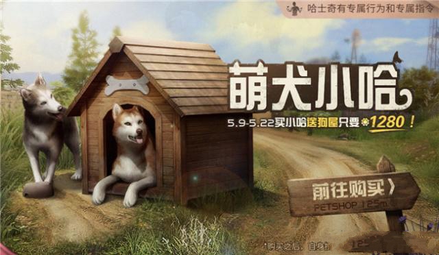 新型寵物風(fēng)潮，另類寵物的興起、爭議與介紹