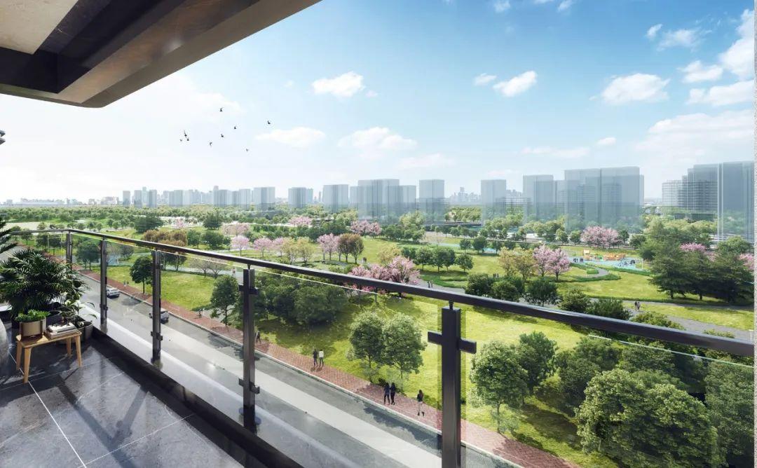 港悅城最新動(dòng)態(tài)，變化中的學(xué)習(xí)之旅，自信與成就感的源泉