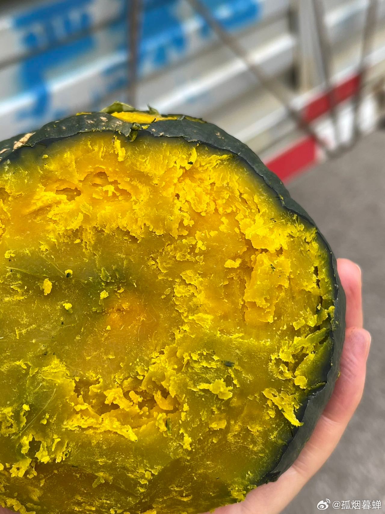 鉤花新品速遞，一場與自然的美麗遨游之旅