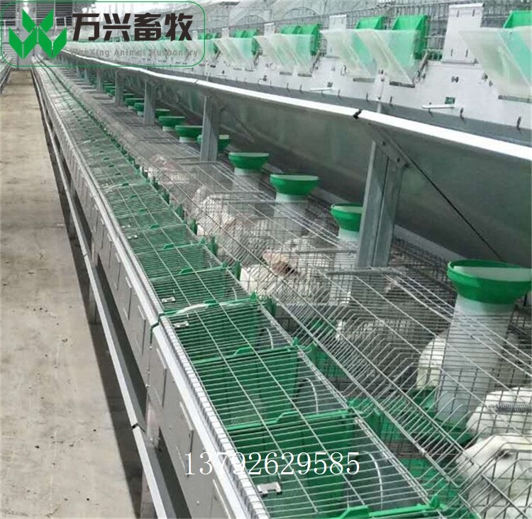革新養(yǎng)兔業(yè)，新型兔籠引領里程碑式發(fā)展