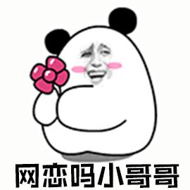 開啟并經(jīng)營一段網(wǎng)戀關(guān)系的實(shí)用指南，一步步教你掌握網(wǎng)戀動態(tài)！