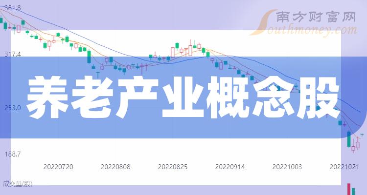 養(yǎng)老上市公司，小巷中的隱秘寶藏與特色小店的無限魅力探索