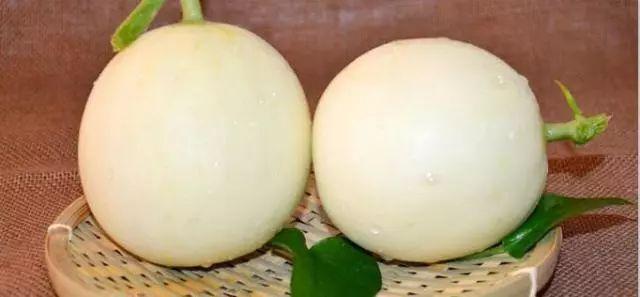 莘縣燕店鎮(zhèn)甜瓜價格，時代甜香記憶的探尋