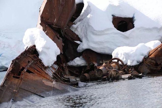 南極奇觀揭秘，探索奇跡與自我超越的力量最新報道