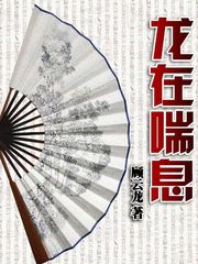 醫(yī)鼎最新章節(jié)閱讀，溫馨日常與友情紐帶的奇妙交織