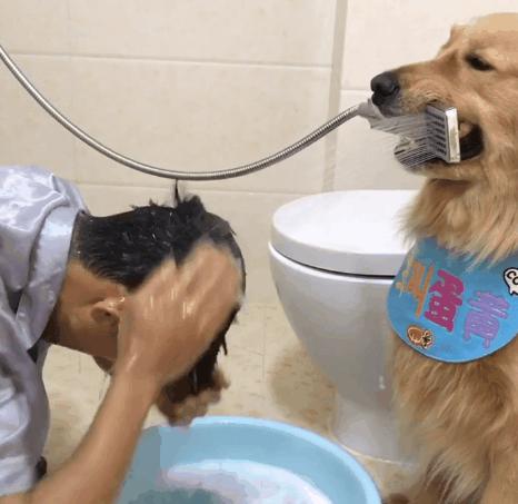 最新手機支架圖片展示，展現(xiàn)你的正能量與獨特風(fēng)格，學(xué)習(xí)變化與自信成就