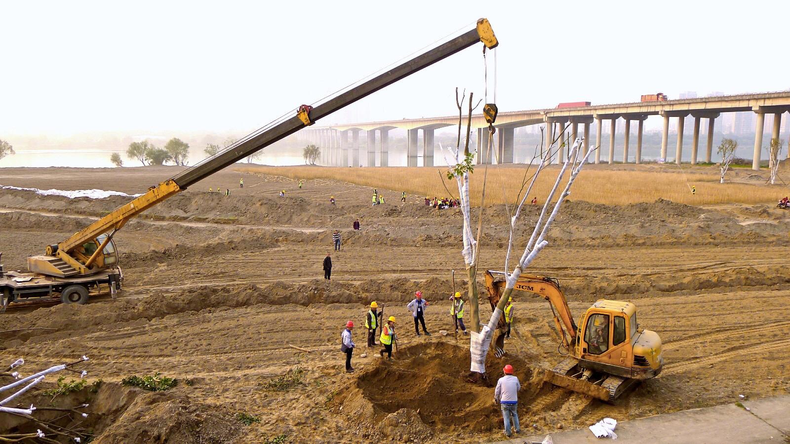 南充下中壩最新建設(shè)圖，城市發(fā)展的多維視角與深度分析