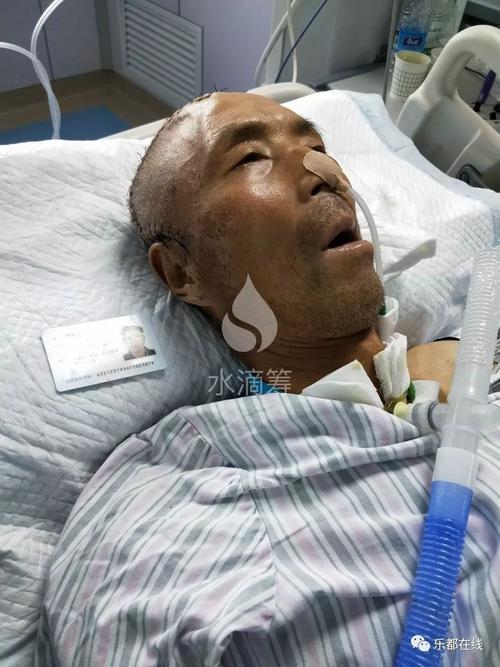 馮現學腦出血最新消息及應對幫助指南（初學者與進階用戶參考）