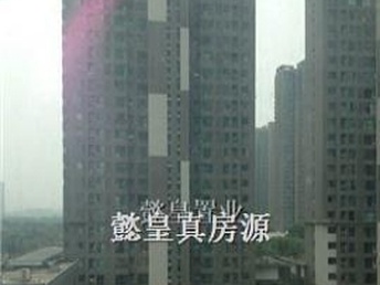 洛陽泉舜房價最新動態(tài)全面解析，如何獲取與理解房價走勢及最新消息