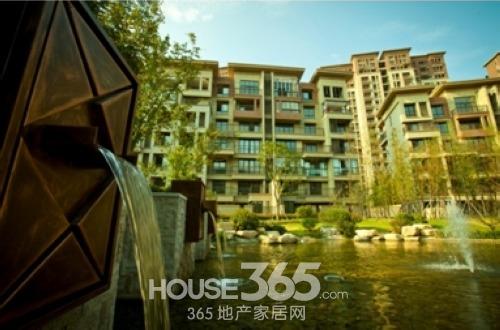 國信觀湖灣最新動態(tài)，深度分析與個人觀點分享