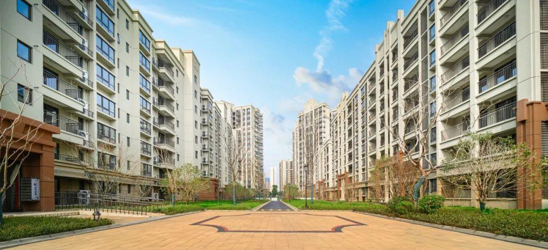 無錫達(dá)安上品科技重塑未來，最新消息引領(lǐng)生活革新