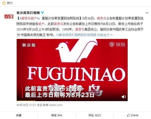 富貴鳥逆境重生，破產(chǎn)背后的力量與變化之美