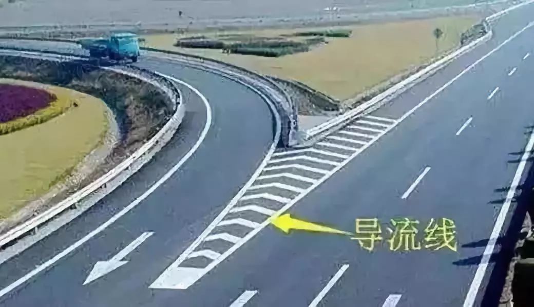 成金青快速路最新動(dòng)態(tài)，日常趣事與情感紐帶揭秘