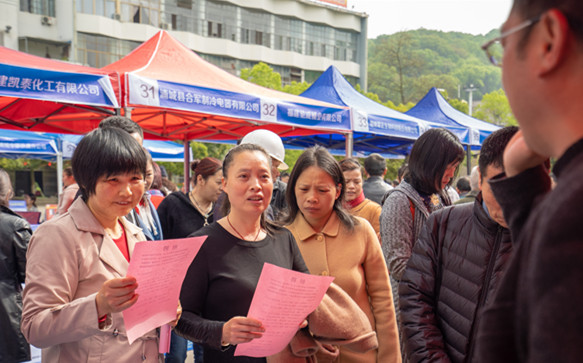 浦城縣招聘網(wǎng)最新招聘，職業(yè)發(fā)展的起點(diǎn)之門
