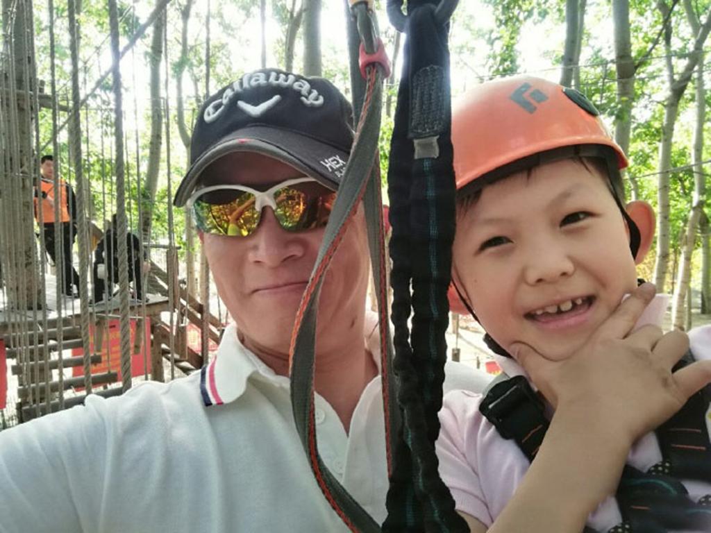 楊志剛最新主演電視劇深度解析及其影響力探討